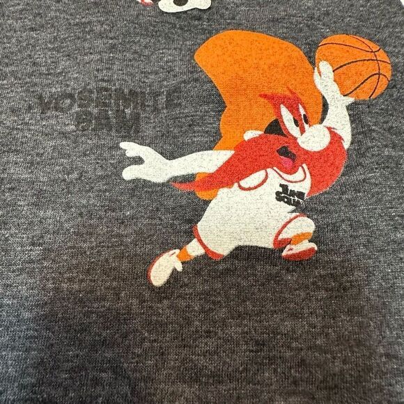 Space Jam Short Sleeve Gray T-shirt | Youth Size XL - Picture 9 of 13